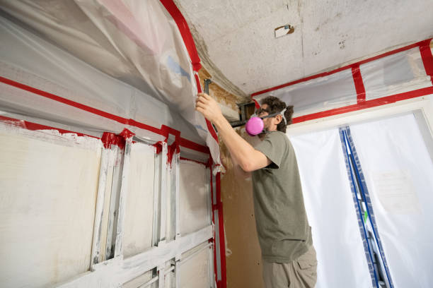 Best Residential Mold Inspection & Testing  in Fellsburg, PA